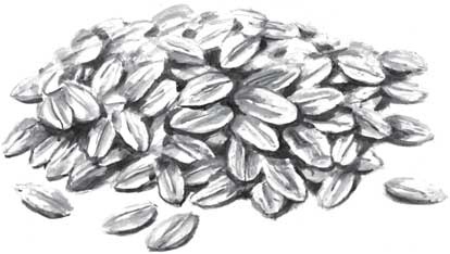 Иллюстрация к книге — Пожар Саниры [i_028.jpg]