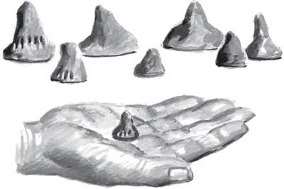 Иллюстрация к книге — Пожар Саниры [i_029.jpg]