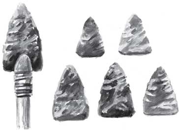 Иллюстрация к книге — Пожар Саниры [i_033.jpg]