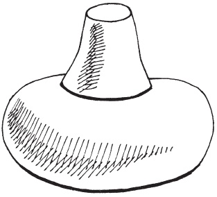 Иллюстрация к книге — Древняя Индия. Быт, религия, культура [i_016.jpg]