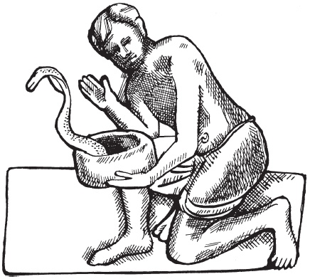 Иллюстрация к книге — Древняя Индия. Быт, религия, культура [i_034.jpg]