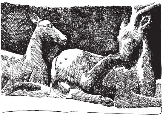 Иллюстрация к книге — Древняя Индия. Быт, религия, культура [i_070.jpg]