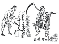 Иллюстрация к книге — Европа в Средние века. Быт, религия, культура [_019.jpg]