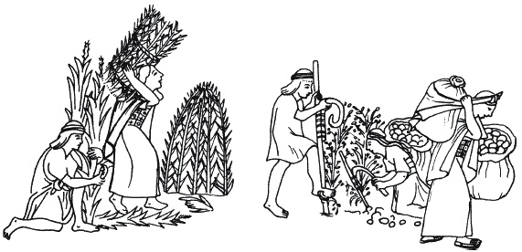 Иллюстрация к книге — Инки. Быт, религия, культура [_172.jpg]