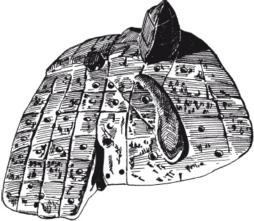 Иллюстрация к книге — Вавилон и Ассирия. Быт, религия, культура [i_026.jpg]