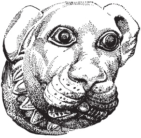 Иллюстрация к книге — Вавилон и Ассирия. Быт, религия, культура [i_064.jpg]