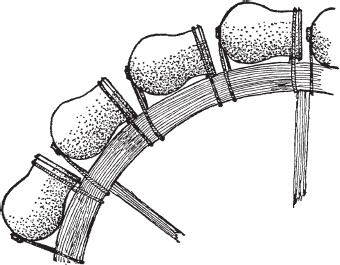 Иллюстрация к книге — Нубийцы. Могущественная цивилизация древней Африки [_57.jpg]