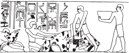 Иллюстрация к книге — Эпоха Рамсесов. Быт, религия, культура [i_015.jpg]