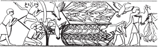 Иллюстрация к книге — Эпоха Рамсесов. Быт, религия, культура [i_028.jpg]