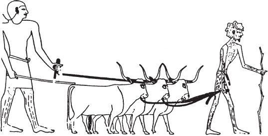 Иллюстрация к книге — Эпоха Рамсесов. Быт, религия, культура [i_029.jpg]