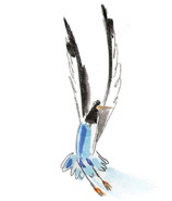 Иллюстрация к книге — Другая дорога [i_003.jpg]