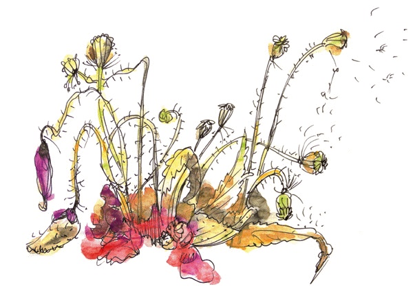 Иллюстрация к книге — Другая дорога [i_011.jpg]