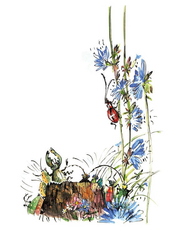 Иллюстрация к книге — Другая дорога [i_012.jpg]