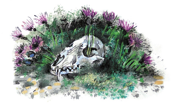 Иллюстрация к книге — Другая дорога [i_020.jpg]