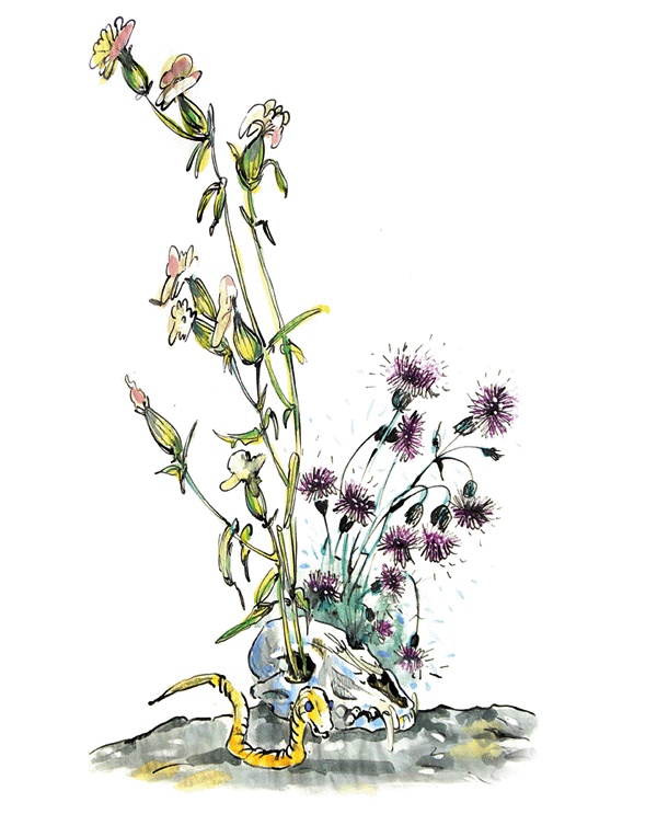 Иллюстрация к книге — Другая дорога [i_024.jpg]