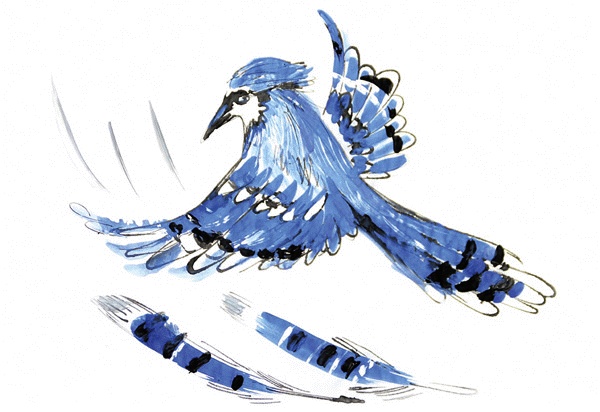 Иллюстрация к книге — Другая дорога [i_054.jpg]