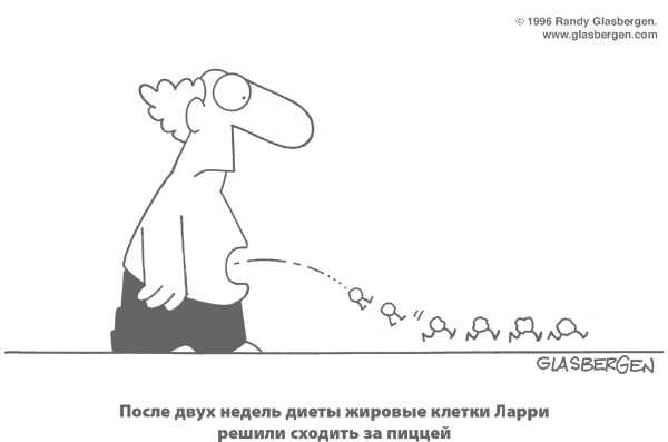 Иллюстрация к книге — Умным диеты не нужны. Последние научные открытия в области борьбы с лишним весом [i_005.jpg]