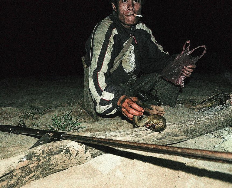 Иллюстрация к книге — Рома едет. Вокруг света без гроша в кармане [_62.jpg]