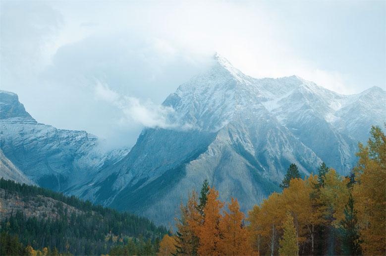 Иллюстрация к книге — Рома едет. Вокруг света без гроша в кармане [_76.jpg]