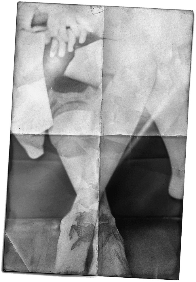 Иллюстрация к книге — Ночное кино [i_073.jpg]