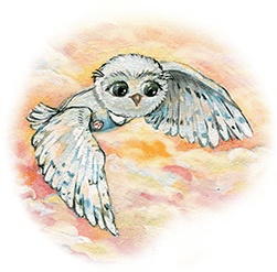 Иллюстрация к книге — Аргуны [i_005.jpg]