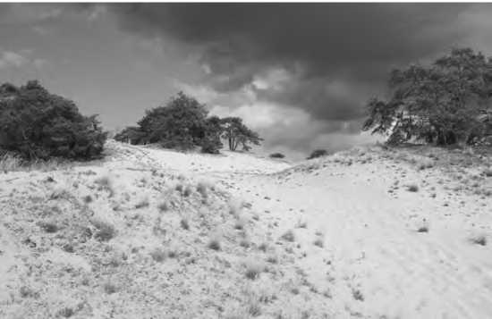 Иллюстрация к книге — Балтийские славяне. От Рерика до Старигарда [i_012.jpg]