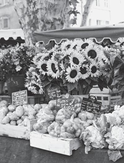 Иллюстрация к книге — Париж от Цезаря до Людовика Святого. Истоки и берега [_73.jpg]