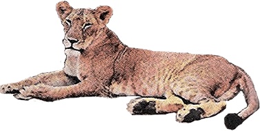 Иллюстрация к книге — Северный Часовой и другие сюжеты [i_039.jpg]