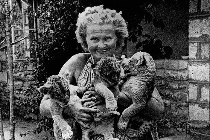 Иллюстрация к книге — Северный Часовой и другие сюжеты [i_040.jpg]