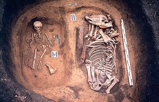 Иллюстрация к книге — Северный Часовой и другие сюжеты [i_156.jpg]