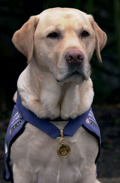 Иллюстрация к книге — Северный Часовой и другие сюжеты [i_160.jpg]