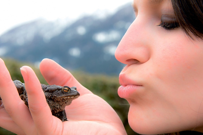 Иллюстрация к книге — Северный Часовой и другие сюжеты [i_220.jpg]