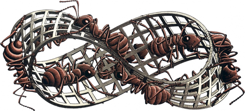 Иллюстрация к книге — Северный Часовой и другие сюжеты [i_232.jpg]