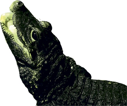 Иллюстрация к книге — Северный Часовой и другие сюжеты [i_239.jpg]