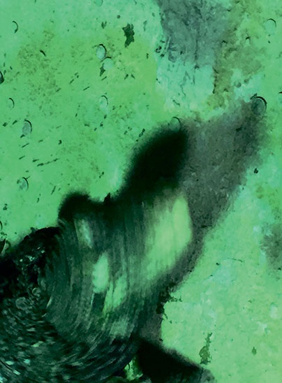 Иллюстрация к книге — Северный Часовой и другие сюжеты [i_241.jpg]