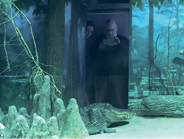 Иллюстрация к книге — Северный Часовой и другие сюжеты [i_243.jpg]