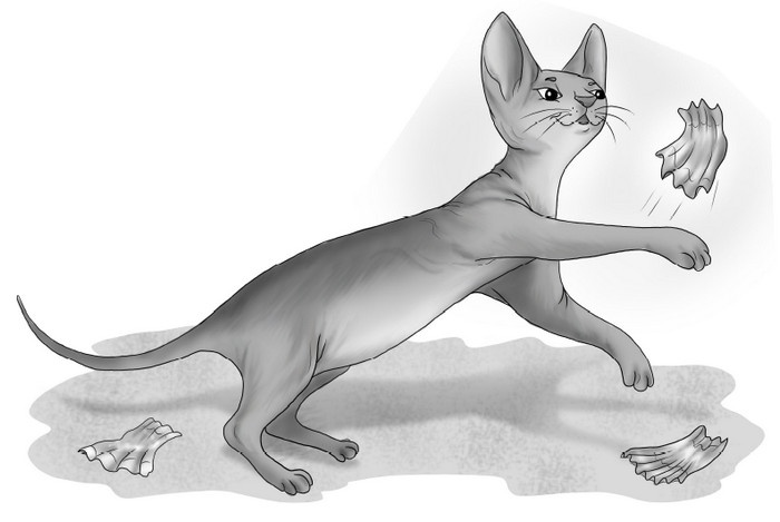 Иллюстрация к книге — Приключения Щепки и другие истории [i_026.jpg]