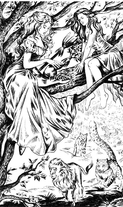 Иллюстрация к книге — Магическая академия. Достать василиска! [i_015.jpg]