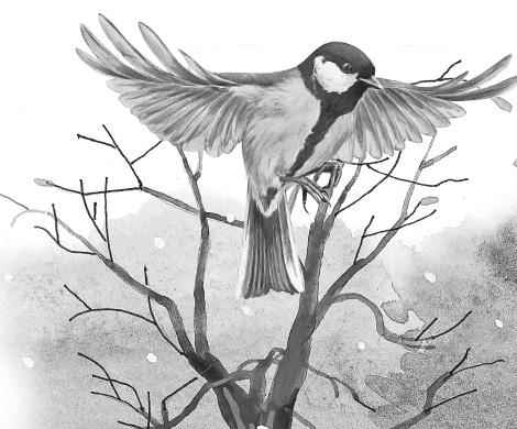 Иллюстрация к книге — Лесные шорохи [i_053.jpg]