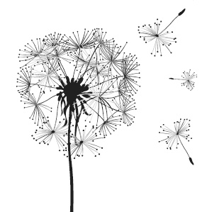 Иллюстрация к книге — Лесные шорохи [i_063.jpg]