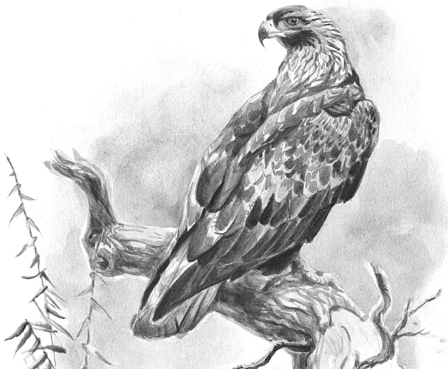 Иллюстрация к книге — Лесные шорохи [i_081.jpg]