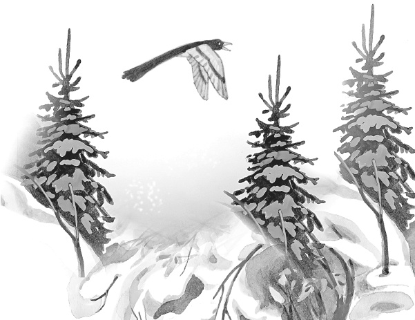 Иллюстрация к книге — Лесные шорохи [i_093.jpg]