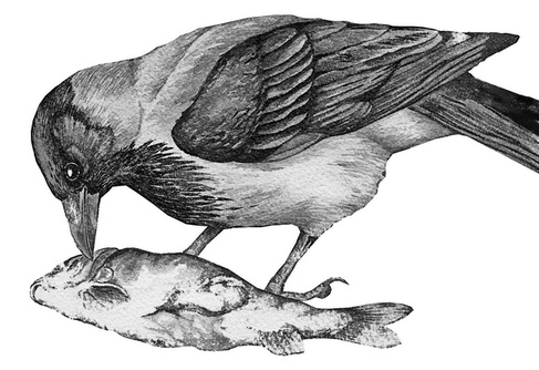 Иллюстрация к книге — Бюро лесных услуг. С вопросами и ответами для почемучек [i_014.jpg]