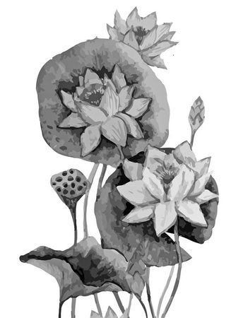 Иллюстрация к книге — Бюро лесных услуг. С вопросами и ответами для почемучек [i_141.jpg]