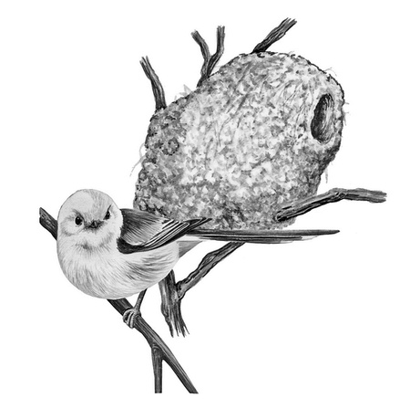 Иллюстрация к книге — Бюро лесных услуг. С вопросами и ответами для почемучек [i_147.jpg]