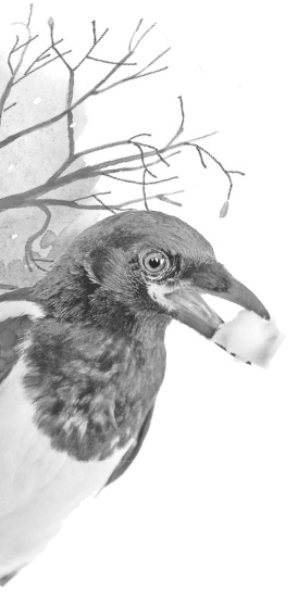 Иллюстрация к книге — Бюро лесных услуг. С вопросами и ответами для почемучек [i_150.jpg]