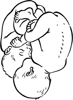 Иллюстрация к книге — Я скоро стану мамой. Главная книга для главного события в вашей жизни [_100.jpg]