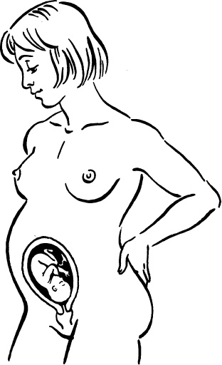 Иллюстрация к книге — Я скоро стану мамой. Главная книга для главного события в вашей жизни [_11.jpg]