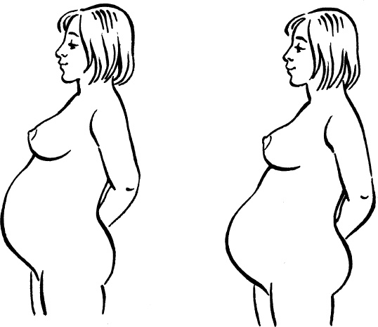 Иллюстрация к книге — Я скоро стану мамой. Главная книга для главного события в вашей жизни [_13.jpg]