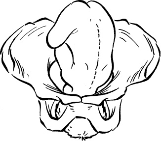 Иллюстрация к книге — Я скоро стану мамой. Главная книга для главного события в вашей жизни [_139.jpg]